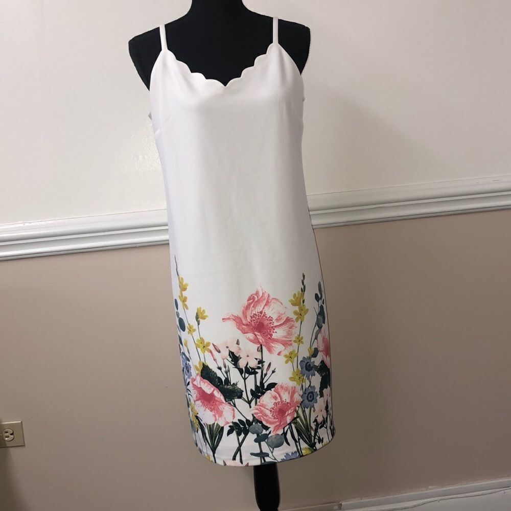 NWT Cato Floral Dress